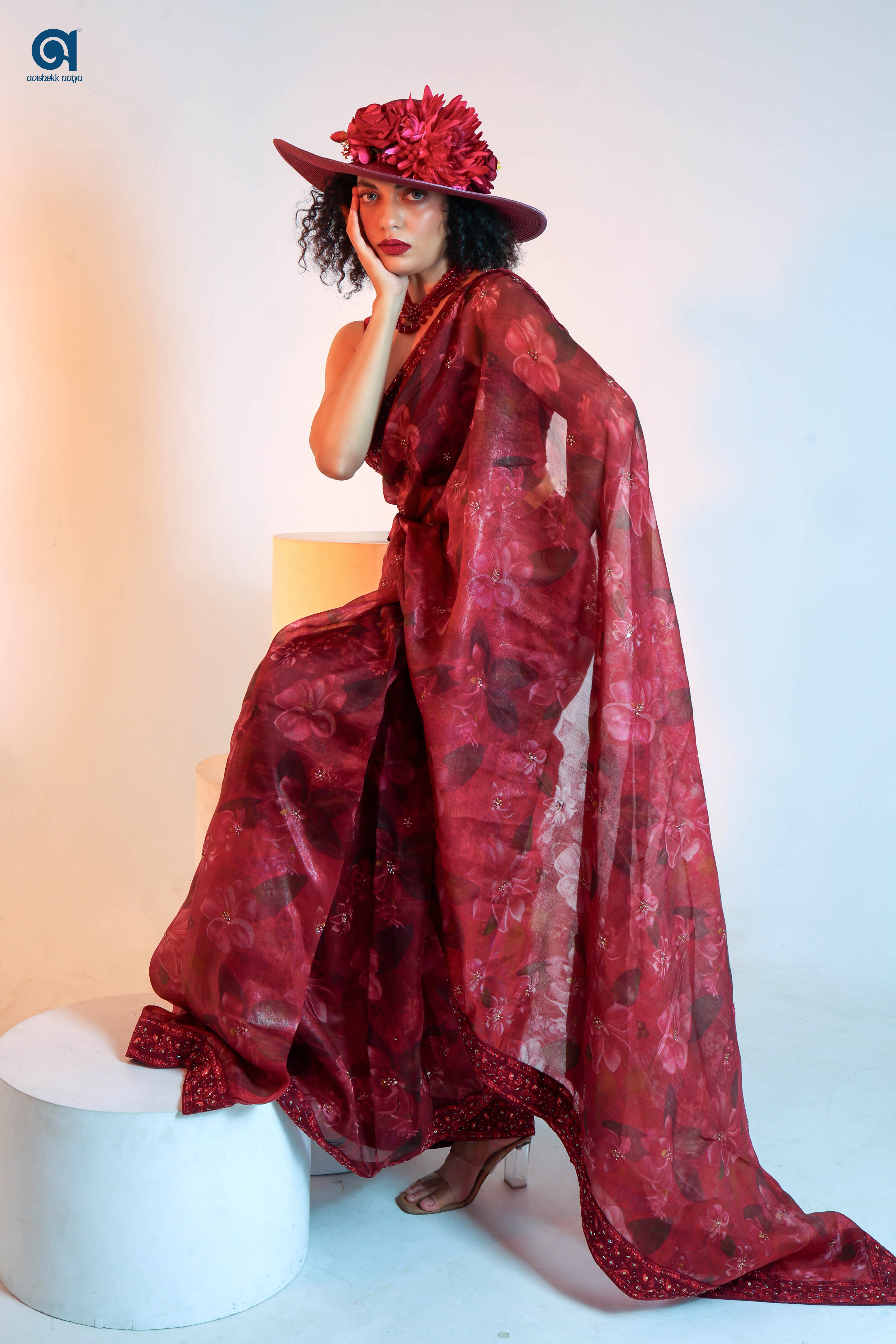Organza Printed Saree